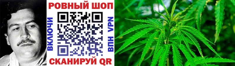 Где купить наркотики Кисловодск гидра ссылка  АМФЕТАМИН  Конопля  Меф  Кокаин 