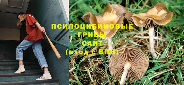 гашиш Александровское