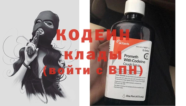 крисы Щигры