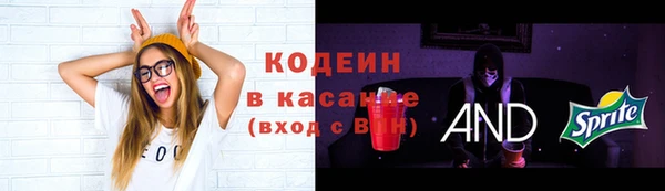 крисы Нестеровская