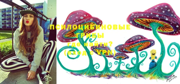 метадон Калининец