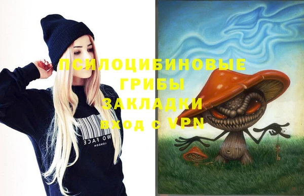 спиды Фёдоровский