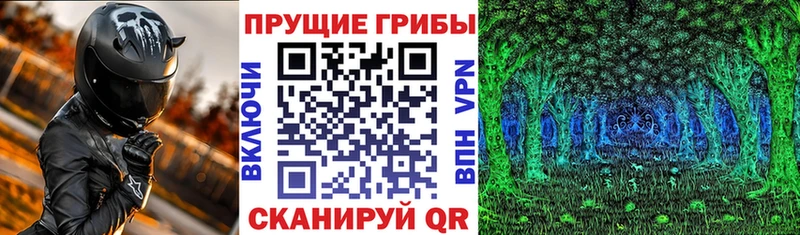 Галлюциногенные грибы мухоморы  Кисловодск 