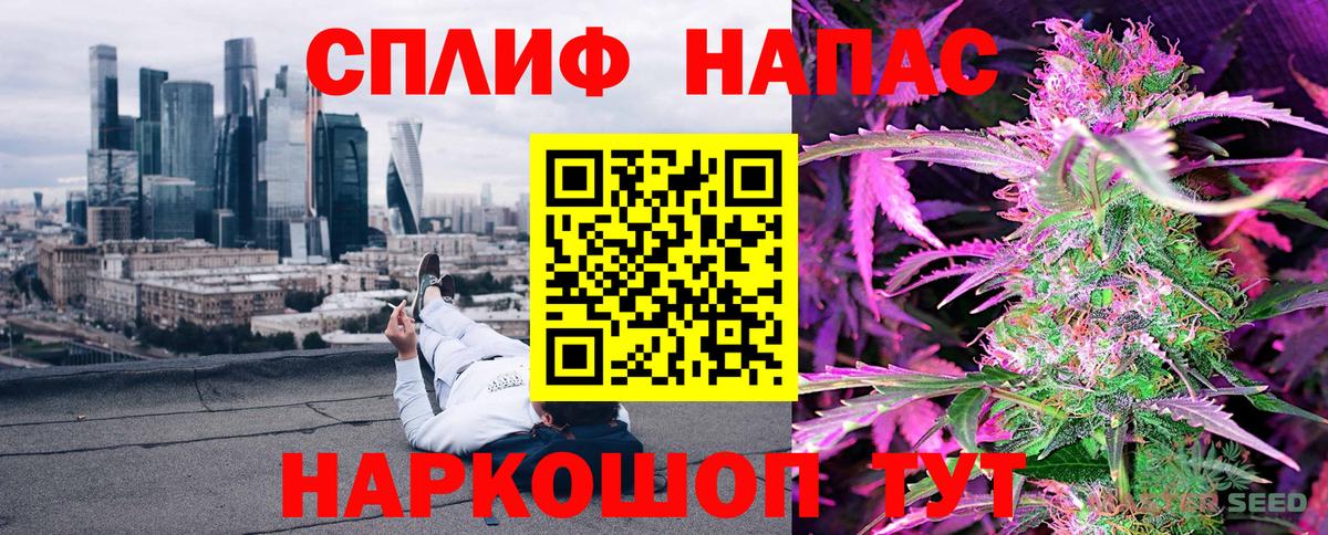 Каннабис ГИДРОПОН Кисловодск