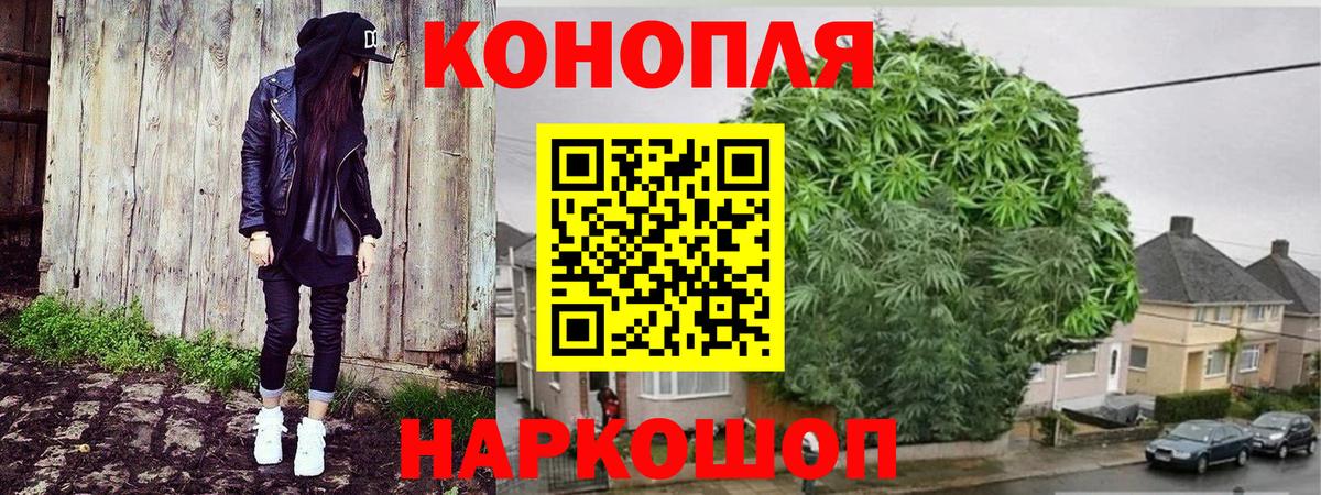 МАРИХУАНА LSD WEED  МАРИХУАНА планчик  Вход с VPN  Бошки Шишки гибрид  Кисловодск  Шишки марихуана SATIVA & INDICA 